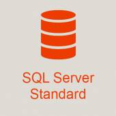 Microsoft SQL Server 2019 Standard + 35 User Cals