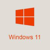 Microsoft Windows 11 Professional Retail PL