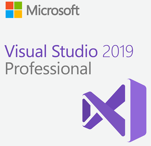 download visual studio professional 2019 for windows